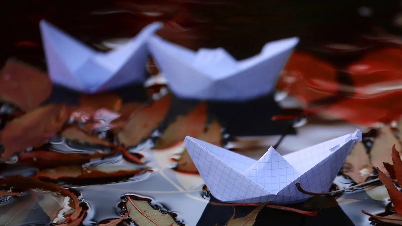 Trois bateaux en papier blanc emportés par le courant d'une eau sombre, parmi des feuilles d'automne rousses.